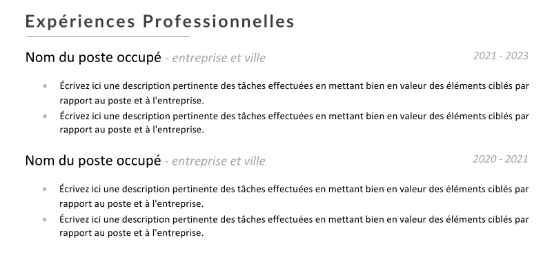 Mise en page d'un CV