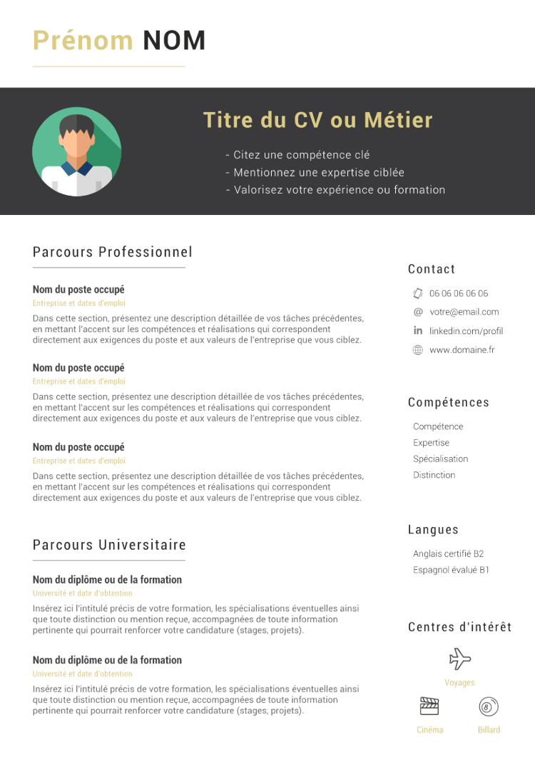 CV Professionnel