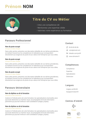 CV pour professionnels